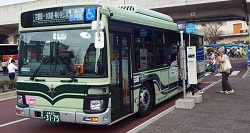 京都駅から京都水族館への行き方と各交通アクセスを完全網羅