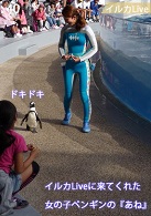 イルカLiveにゲスト出演したペンギン