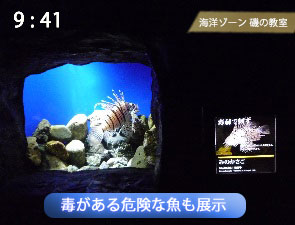 みのかさご