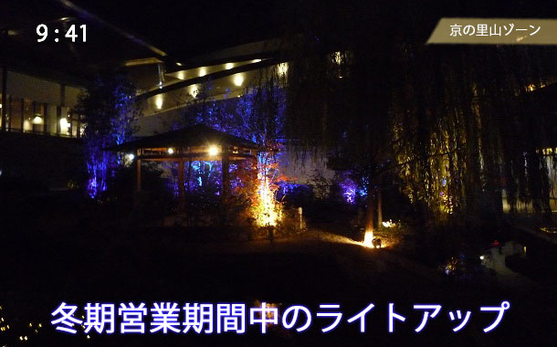 京の里山ゾーンのライトアップ
