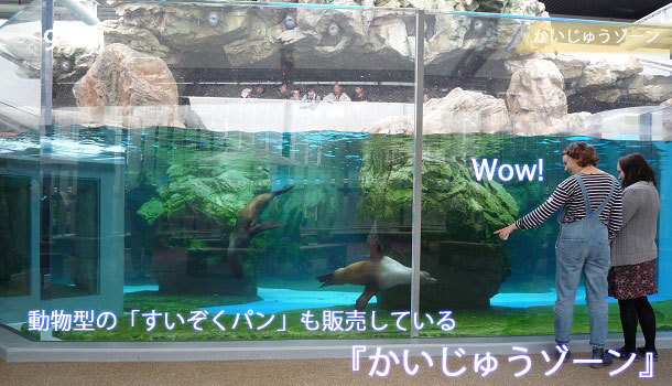 京都水族館のかいじゅうゾーン