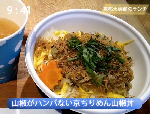 京ちりめん山椒丼
