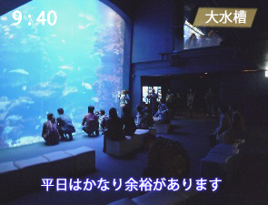 京都水族館の大水槽の混雑（平日）