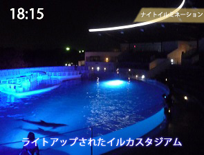 京都水族館のイルカスタジアムのライトアップ