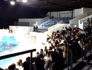 京都水族館のナイトイルカショーの混み具合