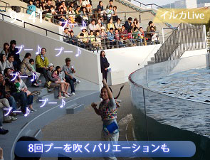 イルカとのセッション