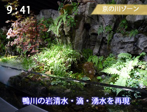京都の鴨川を再現した水槽