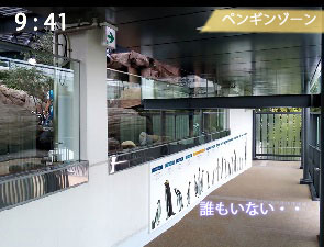 京都水族館のペンギンゾーンの混み具合（平日）