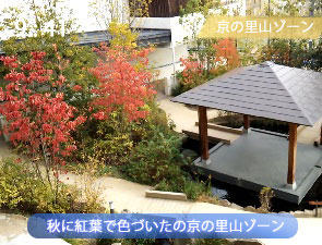 秋の京都水族館の里山ゾーン