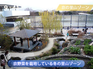 冬の京都水族館の里山ゾーン