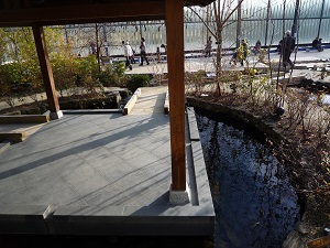 京の里山ゾーンの池