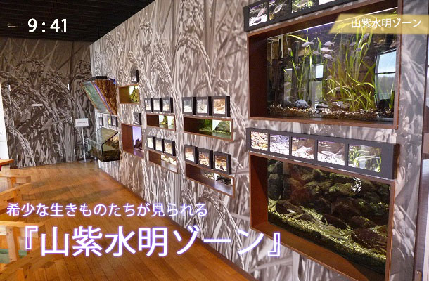 京都水族館の山紫水明ゾーン