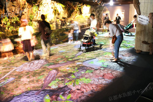 京都水族館のオオサンショウウオのイベント