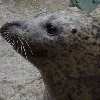 京都水族館