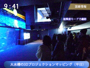 3Dプロジェクションマッピングの混雑