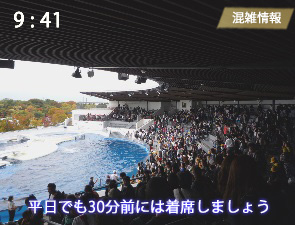 京都水族館のイルカLiveの混雑