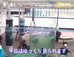 京都水族館のかいじゅうゾーンの混雑