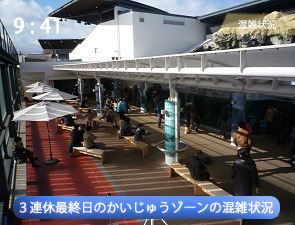 京都水族館の連休のかいじゅうカフェの様子