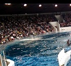 京都水族館