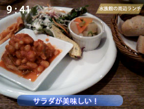グリーンハウスコラボの定食