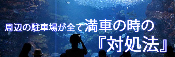 京都水族館周辺の駐車場が満車時の対処法